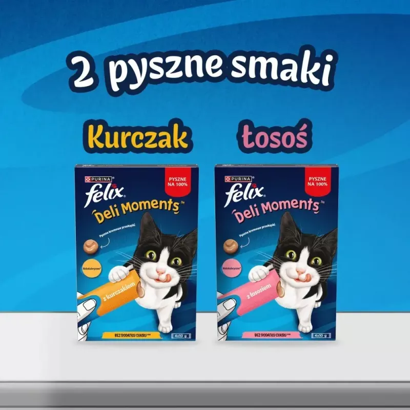 Wet cat treats Purina Felix Deli Moments Salmon paste 4 x 10 g tube