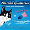 Wet cat treats Purina Felix Deli Moments Salmon paste 4 x 10 g tube