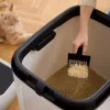rotho Litter box Biala XL — large plastic cat litter tray, white, 499×614×576 mm, carbon filter, hanger hole