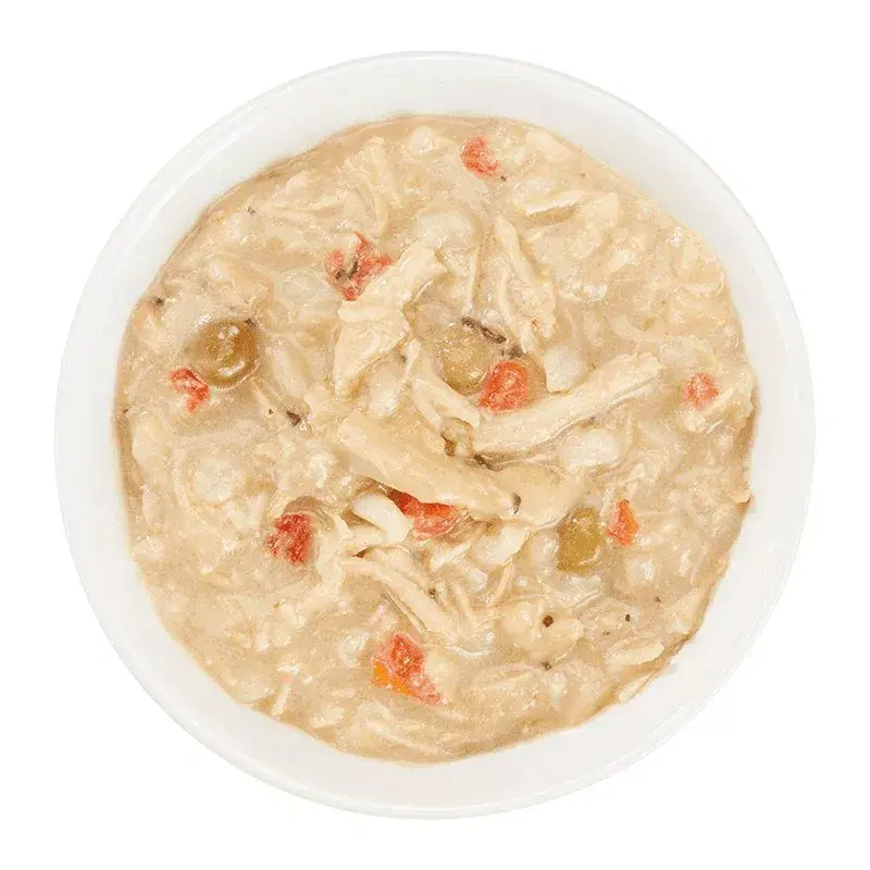 Wet dog food Agras Pet Foods Schesir Taste the World 150 g — Chicken, gluten-free, adult, can