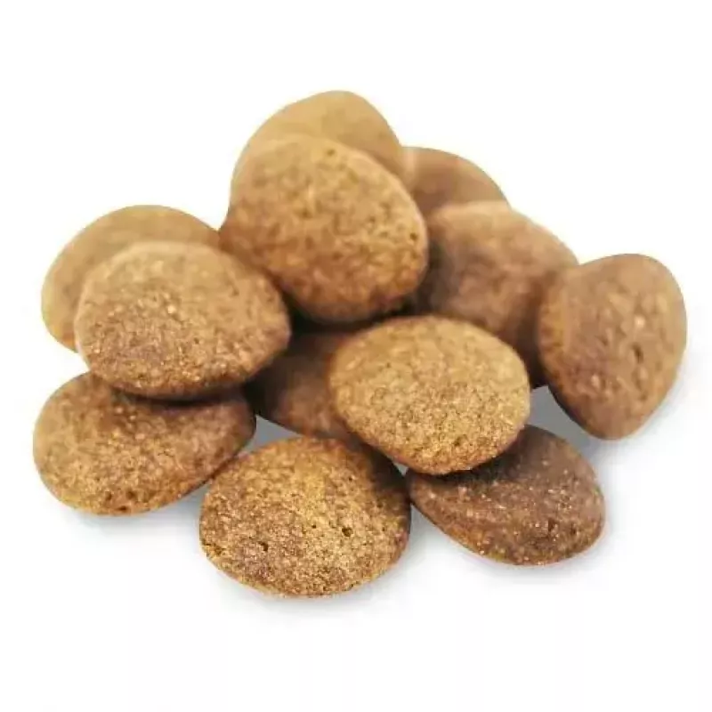 Dry dog food FISH4DOGS Superior Senior Medium Salmon — 12 kg, gluten-free, for medium senior dogs