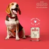 Wet dog food OLLO Pure Pork 850 g — complete adult wet food, monoprotein, 17% protein, 11.5% fat, 63% moisture