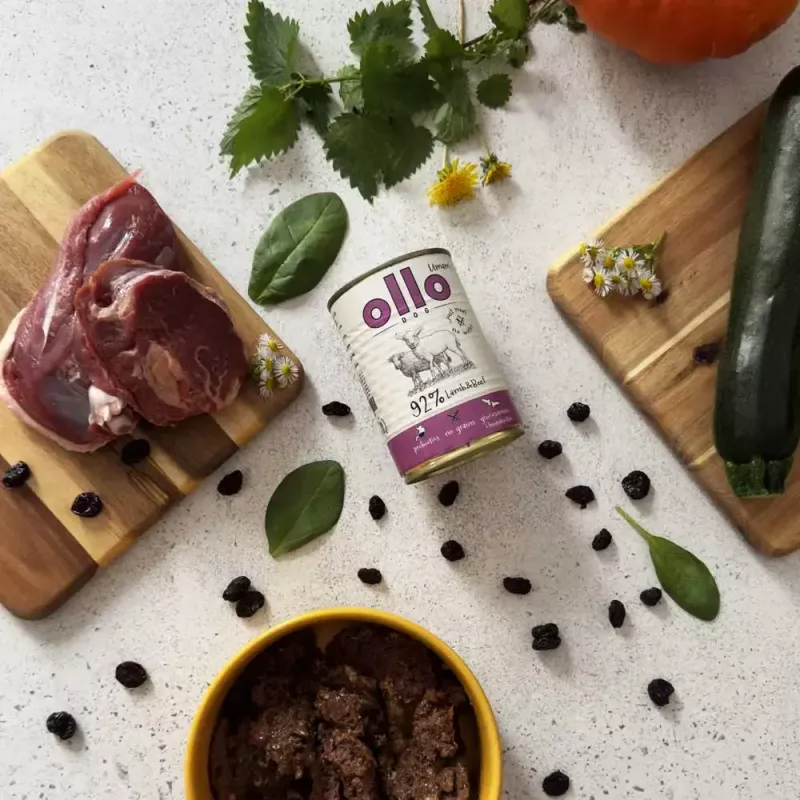 Wet dog food OLLO Umami Lamb and Beef 850 g — adult, grain-free, gluten- and soy-free