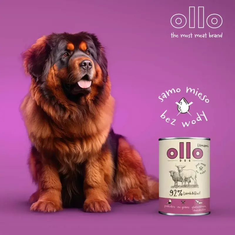 Wet dog food OLLO Umami Lamb and Beef 850 g — adult, grain-free, gluten- and soy-free