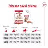 Royal Canin SHN Medium Adult dry dog food, 4 kg