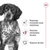 Royal Canin SHN Medium Adult dry dog food, 4 kg