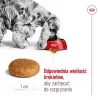 Royal Canin SHN Medium Adult dry dog food, 4 kg
