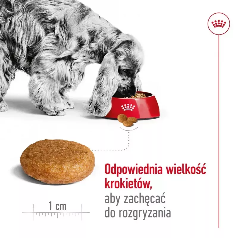 Royal Canin SHN Medium Adult dry dog food, 4 kg