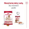 Royal Canin SHN Medium Adult dry dog food, 4 kg