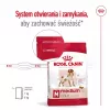 Royal Canin SHN Medium Adult dry dog food, 4 kg