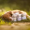 Wet dog food VETEXPERT RAW PALEO Adult Monoprotein Duck 400 g, gluten‑free, soy‑free, for food allergies
