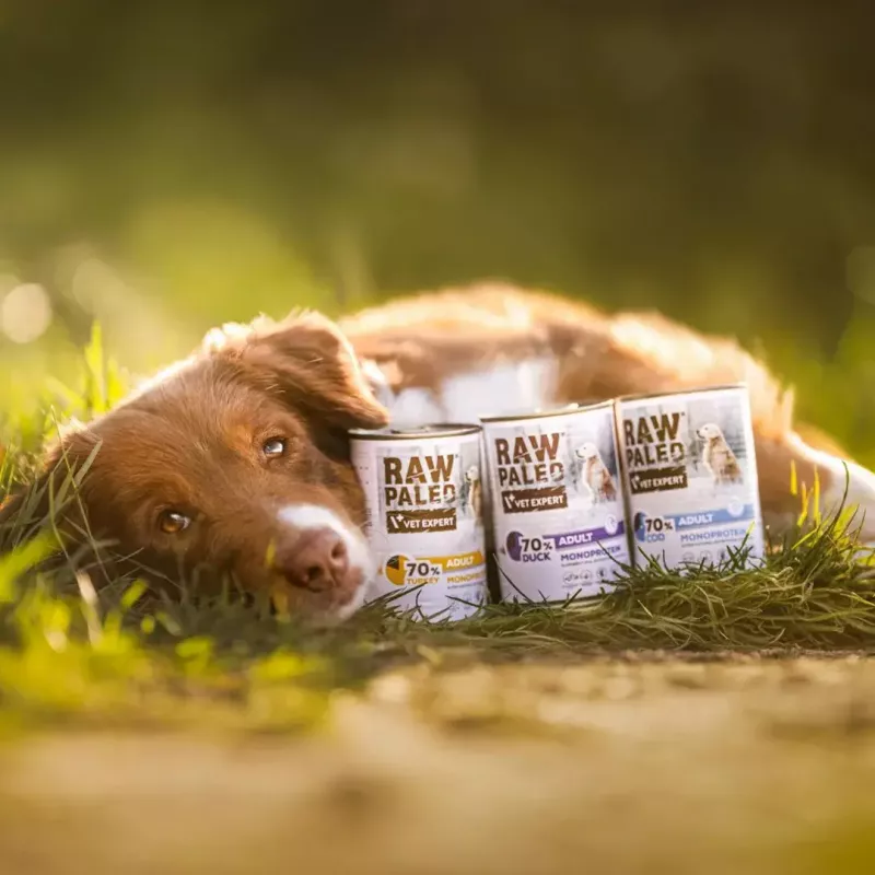 Wet dog food VETEXPERT RAW PALEO Adult Monoprotein Duck 400 g, gluten‑free, soy‑free, for food allergies
