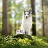 Wet dog food VETEXPERT RAW PALEO Puppy Monoprotein Duck 400 g, moisture 74.8%, protein 9.6%, fat 10.6%