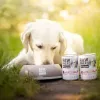 Wet dog food VETEXPERT RAW PALEO Adult Monoprotein Pork 400 g, canned, 72.6% moisture