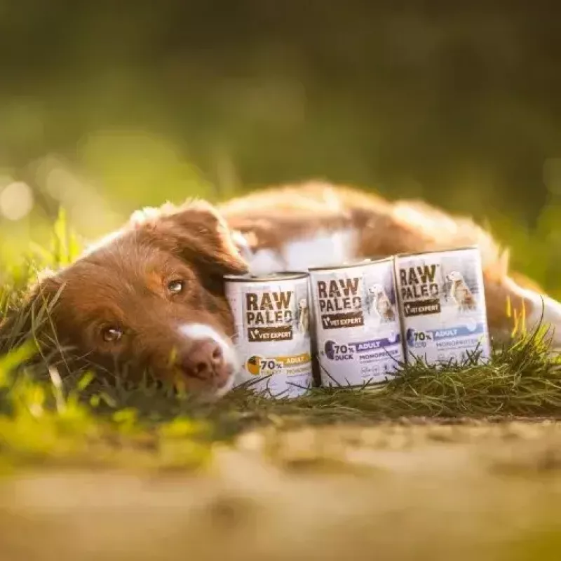 Wet dog food VETEXPERT RAW PALEO Adult Monoprotein Turkey 800 g can, grain-free, gluten-free, for food allergies