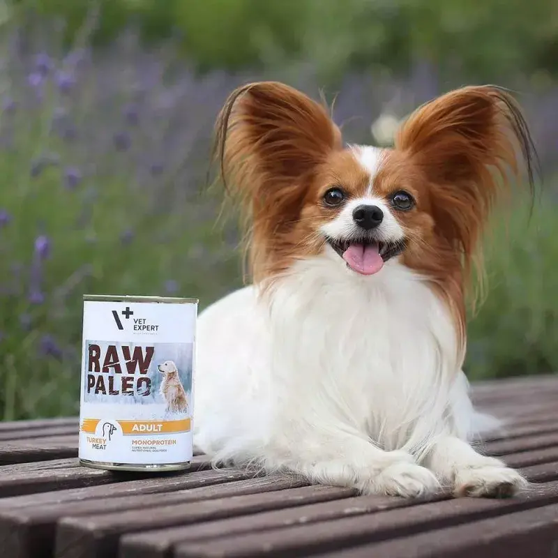 Wet dog food VETEXPERT RAW PALEO Adult Monoprotein Turkey 800 g can, grain-free, gluten-free, for food allergies