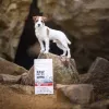 VETEXPERT RAW PALEO Ultra Mini Adult Beef Dry Dog Food, 2 kg
