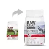 Dry puppy food VETEXPERT RAW PALEO Ultra Medium & Large Beef 2 kg — beef, protein 30.5%, fat 16.5%