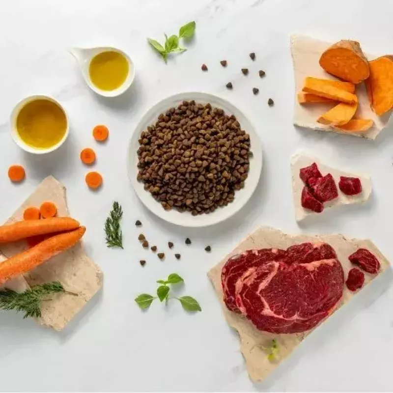 Dry puppy food VETEXPERT RAW PALEO Ultra Medium & Large Beef 2 kg — beef, protein 30.5%, fat 16.5%