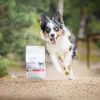 Dry puppy food VETEXPERT RAW PALEO Ultra Medium & Large Beef 2 kg — beef, protein 30.5%, fat 16.5%