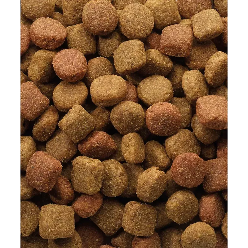 Dry Dog Food VERSELE-LAGA Senior Duo Krok 20 kg — Poultry, 22% Protein, 8% Fat, Adult dogs