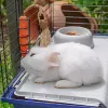 Cage FERPLAST Rabbit 120 Blue — metal and plastic rabbit cage 1180×585×495 mm, for rabbits 5–9.9 kg