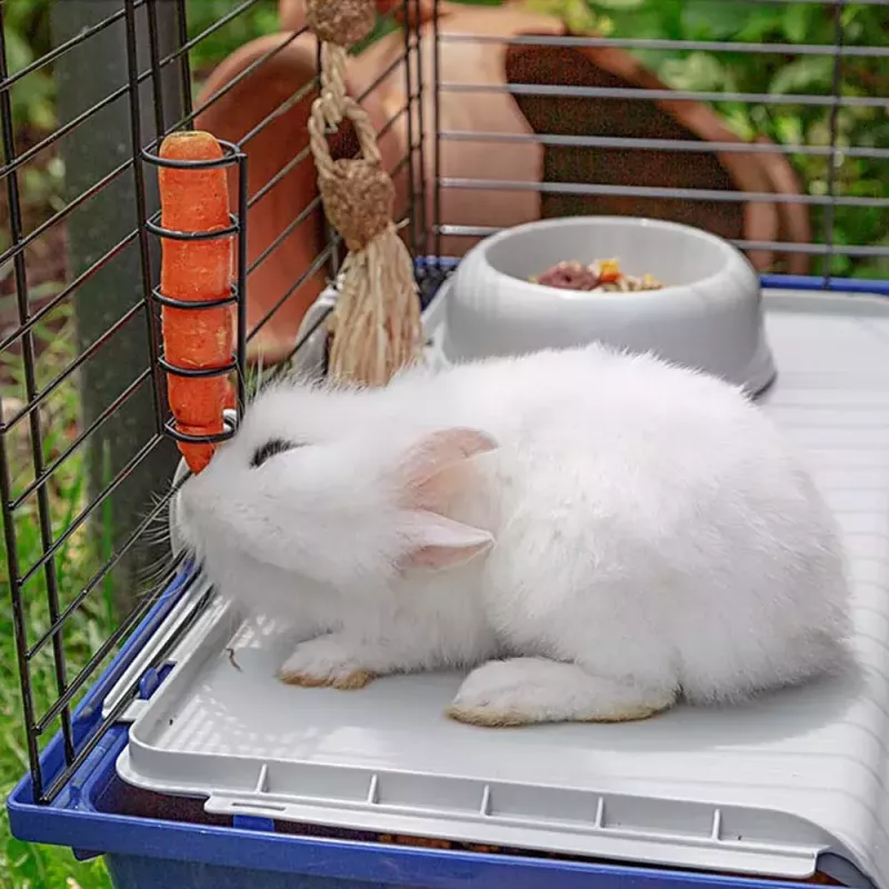 Cage FERPLAST Rabbit 120 Blue — metal and plastic rabbit cage 1180×585×495 mm, for rabbits 5–9.9 kg