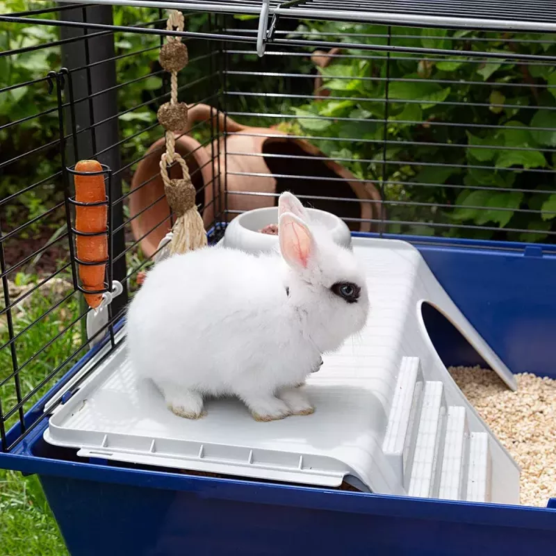 Cage FERPLAST Rabbit 120 Blue — metal and plastic rabbit cage 1180×585×495 mm, for rabbits 5–9.9 kg