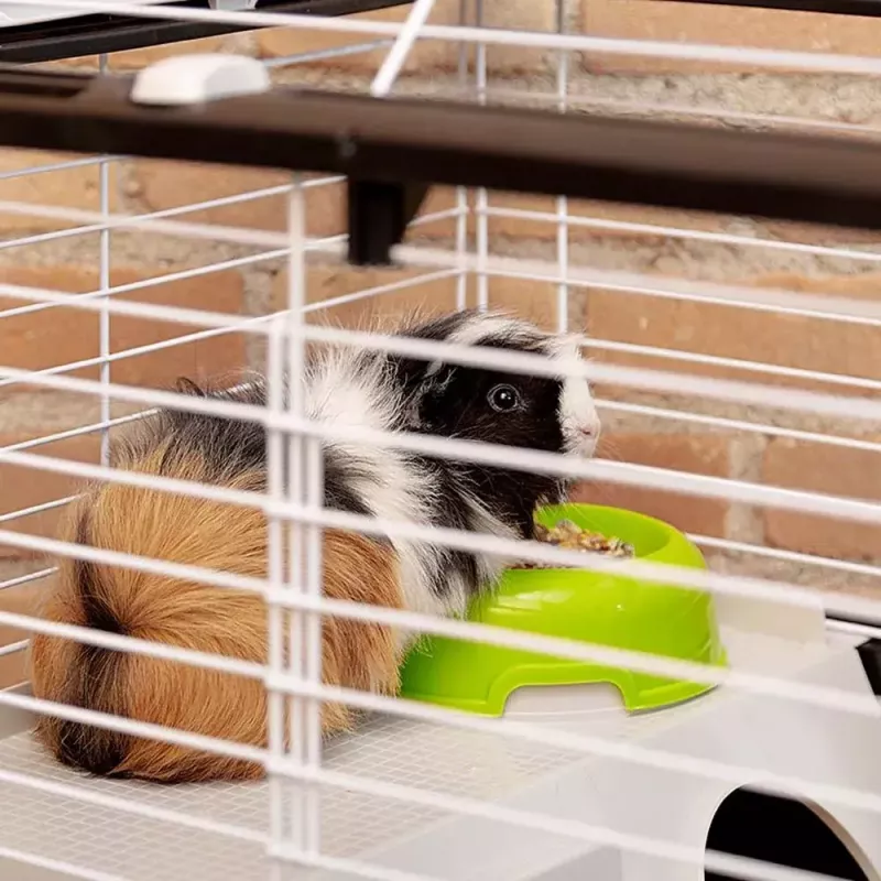 Cage FERPLAST Casita 80 for guinea pigs 780×480×500 mm, metal and plastic, grey/black-white