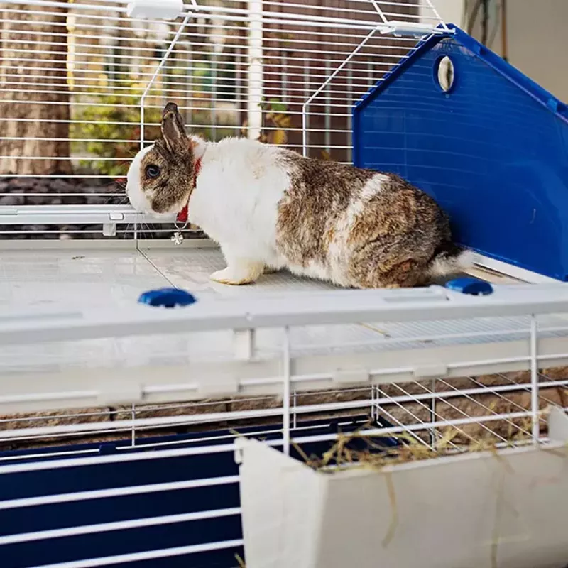 Cage FERPLAST Barn 80 Rabbit Grey White — 780×480×650 mm, metal & plastic, includes bowl