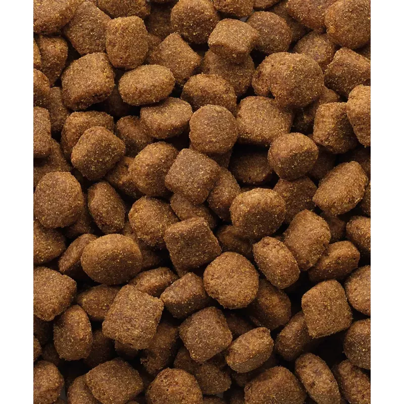 Dry Dog Food VERSELE-LAGA Lamb & Rice 20 kg — Adult dogs, All breed sizes, 22% protein, 10% fat