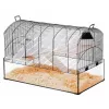 Cage ZOLUX NeoPanas XL glass cage for rodents, black, dimensions 710×410×490 mm, glass tray height 180 mm, includes 2 shelves, 2 platforms, bowl, house, reel