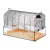 Cage ZOLUX NeoPanas XL glass cage for rodents, black, dimensions 710×410×490 mm, glass tray height 180 mm, includes 2 shelves, 2 platforms, bowl, house, reel