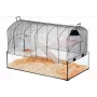 Cage ZOLUX NeoPanas XL glass cage for rodents, black, dimensions 710×410×490 mm, glass tray height 180 mm, includes 2 shelves, 2 platforms, bowl, house, reel