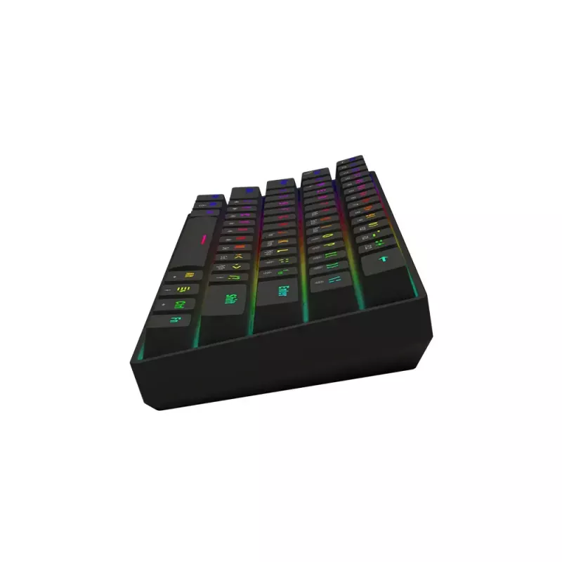 Mechanical Gaming Keyboard SAVIO BLACKOUT X2 BLUE, 61-key 60% USB Type-C detachable cable, RGB LED, Outemu Blue switches, N-key rollover