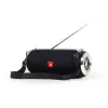 GEMBIRD Portable BT Speaker FM-Radio with Antenna - Black