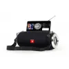 GEMBIRD Portable BT Speaker FM-Radio with Antenna - Black
