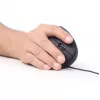 GEMBIRD Optical Mouse MUS-ERGO-01 - Ergonomic 6 Button Wheel USB Black