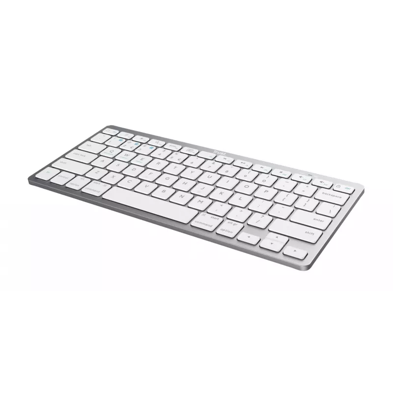 Trust 24651 keyboard Universal Bluetooth QWERTY US English Silver