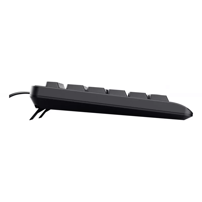 Trust 24639 keyboard Office USB No US English Black
