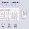 Trust Ody II keyboard Mouse included Home/Office RF Wireless QWERTY US English White