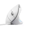Trust Verto mouse Office Right-hand USB Type-A Optical 1600 DPI