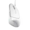 Trust Verto mouse Office Right-hand USB Type-A Optical 1600 DPI
