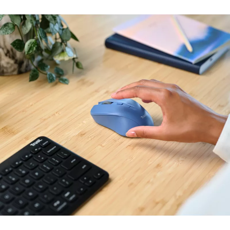 Trust Mydo mouse Office Ambidextrous RF Wireless Optical 1800 DPI