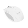 Trust Ozaa mouse Office Right-hand RF Wireless + Bluetooth Optical 3200 DPI