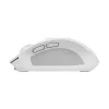 Trust Ozaa mouse Office Right-hand RF Wireless + Bluetooth Optical 3200 DPI