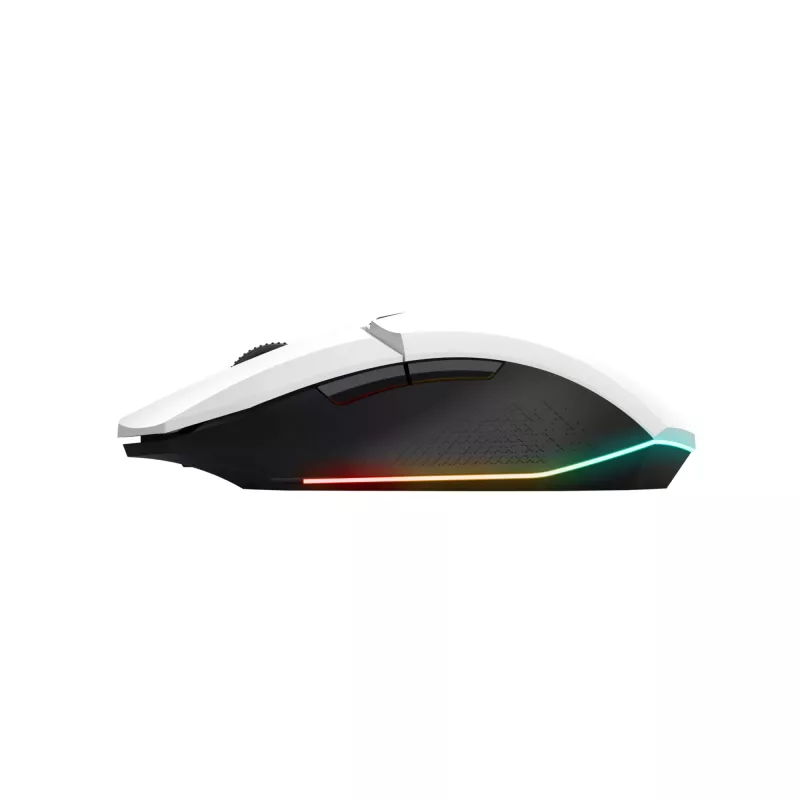 Trust GXT 110 FELOX mouse Gaming Right-hand RF Wireless Optical 4800 DPI