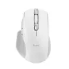 Trust Ozaa+ mouse Office Right-hand RF Wireless + Bluetooth Optical 3200 DPI