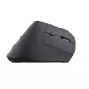 Trust Bayo+ mouse Office Right-hand RF Wireless + Bluetooth Optical 2400 DPI