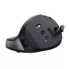 Trust Bayo+ mouse Office Right-hand RF Wireless + Bluetooth Optical 2400 DPI